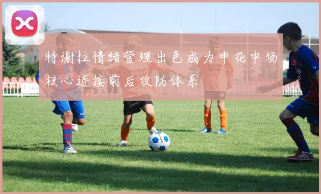 特谢拉情绪管理出色成为申花中场核心连接前后攻防体系