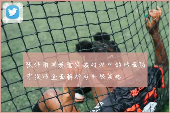张伟丽训练营实战对抗中的地面防守技巧全面解析与升级策略