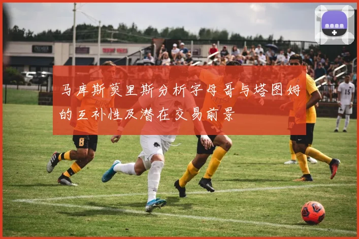 马库斯莫里斯分析字母哥与塔图姆的互补性及潜在交易前景
